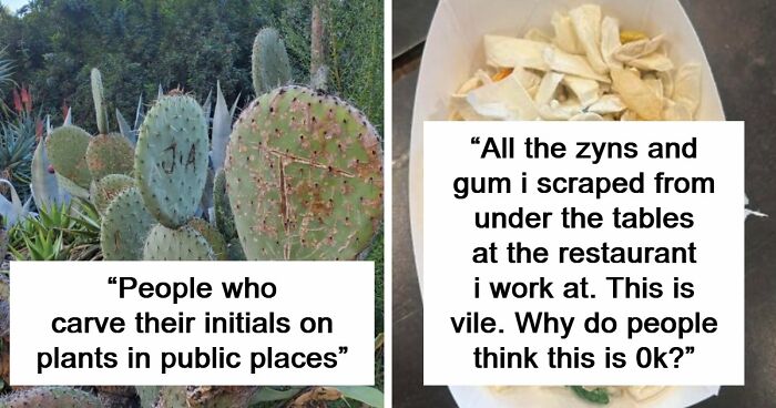 81 People Who Looked At Basic Human Decency And Decided It Wasn’t For Them