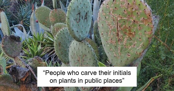 81 People Who Looked At Basic Human Decency And Decided It Wasn’t For Them