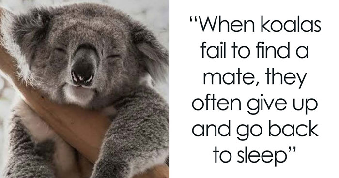 79 Fascinating Facts That Might Completely Change How You See The World