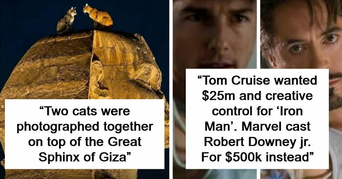 79 Of The Most Interesting Facts You Will Likely End Up Thinking About For Days