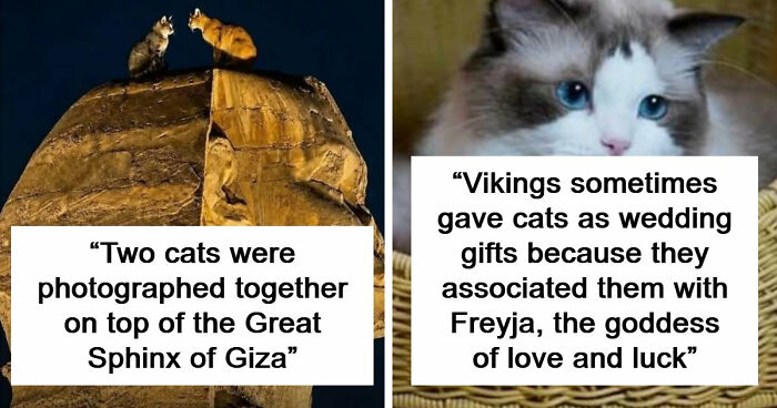 79 Of The Most Interesting Facts You Will Likely End Up Thinking About For Days