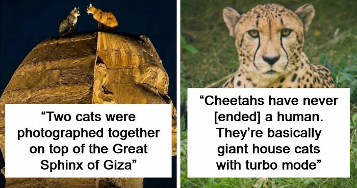 79 Of The Most Interesting Facts You Will Likely End Up Thinking About For Days