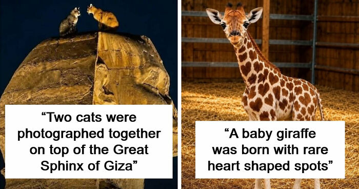 79 Of The Most Interesting Facts You Will Likely End Up Thinking About For Days