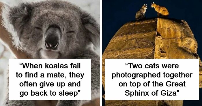 79 Fascinating Facts That Might Completely Change How You See The World