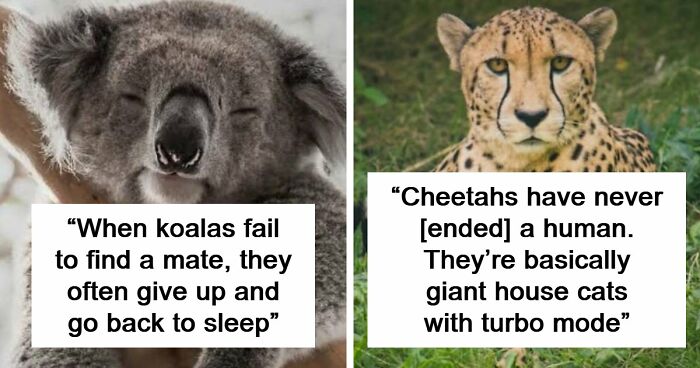 79 Fascinating Facts That Might Completely Change How You See The World