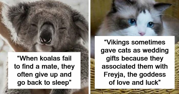 79 Fascinating Facts That Might Completely Change How You See The World