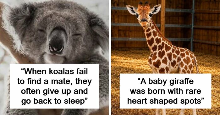 79 Fascinating Facts That Might Completely Change How You See The World
