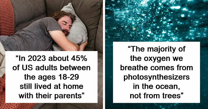 75 Curious Facts That Might Make You Feel Smarter In Just A Few Minutes (New Pics)