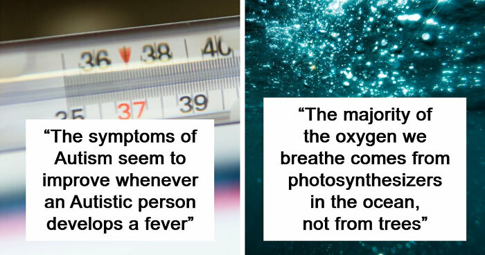 75 Curious Facts That Might Make You Feel Smarter In Just A Few Minutes (New Pics)