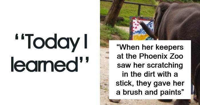 75 Curious Facts That Might Make You Feel Smarter In Just A Few Minutes (New Pics)