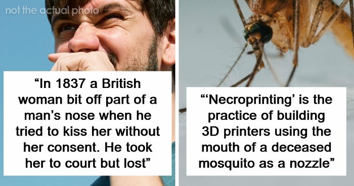 75 Curious Facts That Might Make You Feel Smarter In Just A Few Minutes (New Pics)