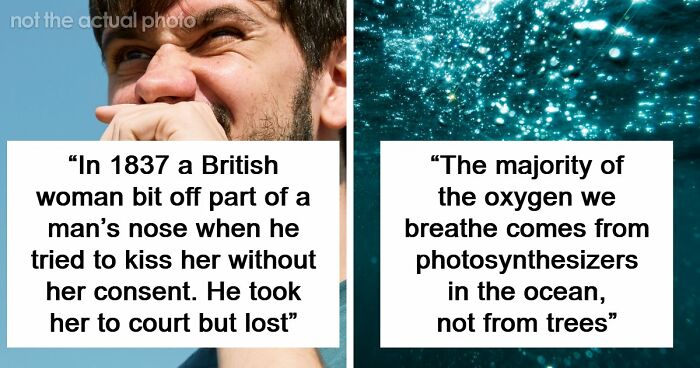 75 Curious Facts That Might Make You Feel Smarter In Just A Few Minutes (New Pics)
