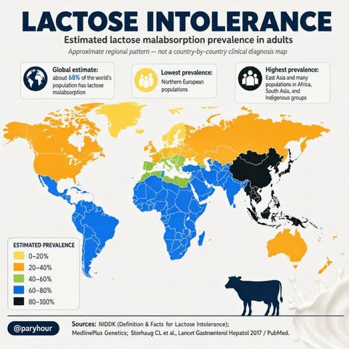 A brilliant map showing global lactose malabsorption prevalence, highlighting geography and dietary impacts on populations.