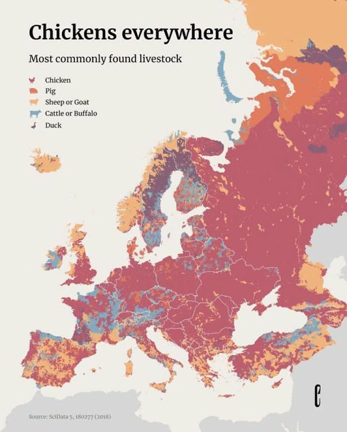A brilliant map showing the most common livestock across Europe with chickens everywhere.