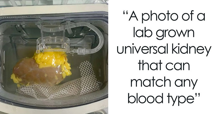 82 Fascinating Pics And Quick Facts For A 5-Minute Brain Boost (New Pics)