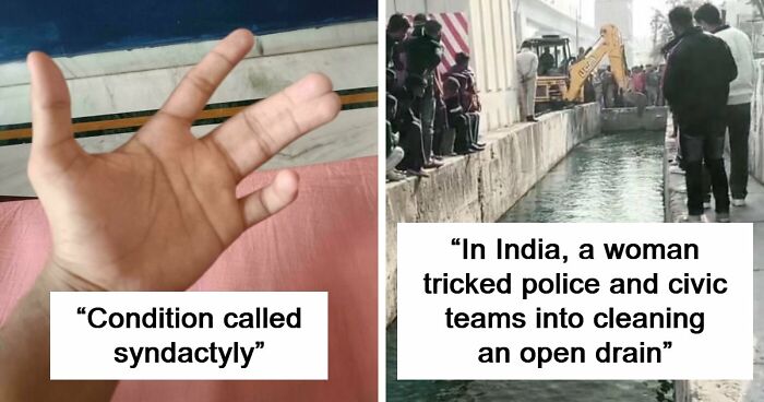 82 Fascinating Pics And Quick Facts For A 5-Minute Brain Boost (New Pics)