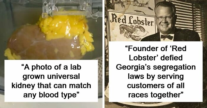 82 Fascinating Pics And Quick Facts For A 5-Minute Brain Boost (New Pics)