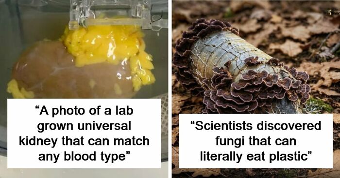 82 Fascinating Pics And Quick Facts For A 5-Minute Brain Boost (New Pics)