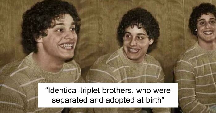 82 Fascinating Pics And Quick Facts For A 5-Minute Brain Boost (New Pics)