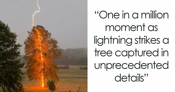 82 Fascinating Pics And Quick Facts For A 5-Minute Brain Boost (New Pics)