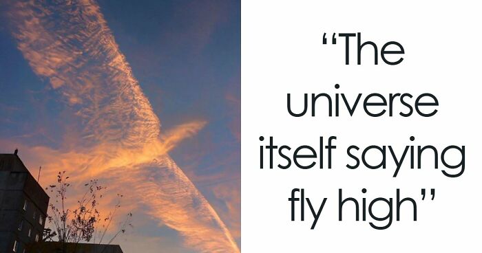 82 Fascinating Pics And Quick Facts For A 5-Minute Brain Boost (New Pics)