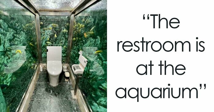 82 Fascinating Pics And Quick Facts For A 5-Minute Brain Boost (New Pics)