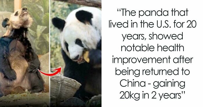 82 Fascinating Pics And Quick Facts For A 5-Minute Brain Boost (New Pics)