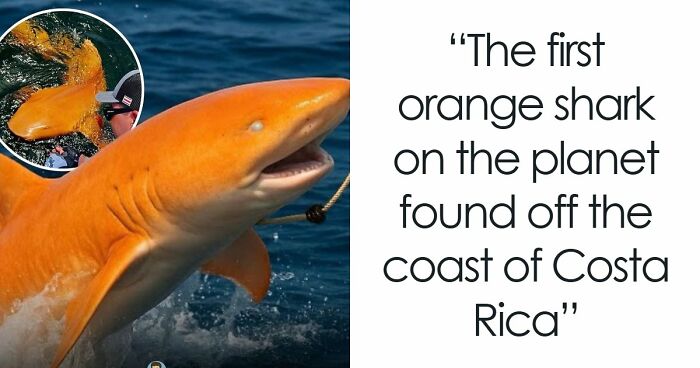 82 Fascinating Pics And Quick Facts For A 5-Minute Brain Boost (New Pics)