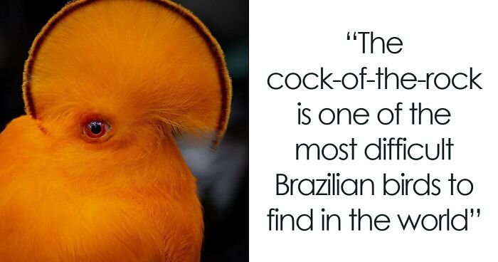 82 Fascinating Pics And Quick Facts For A 5-Minute Brain Boost (New Pics)