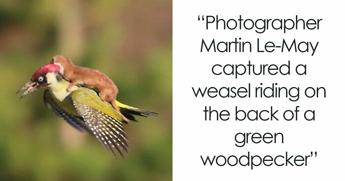82 Fascinating Pics And Quick Facts For A 5-Minute Brain Boost (New Pics)