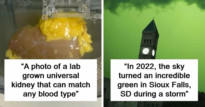 82 Fascinating Pics And Quick Facts For A 5-Minute Brain Boost (New Pics)