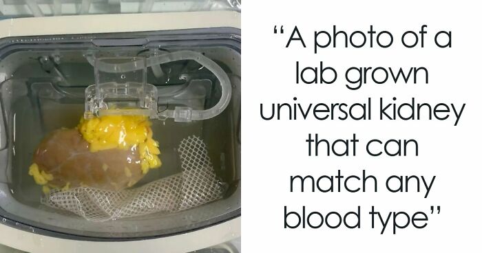 82 Fascinating Pics And Quick Facts For A 5-Minute Brain Boost (New Pics)