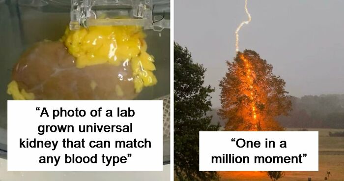 82 Fascinating Pics And Quick Facts For A 5-Minute Brain Boost (New Pics)