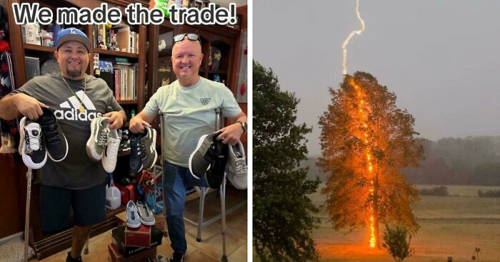 82 Fascinating Pics And Quick Facts For A 5-Minute Brain Boost (New Pics)