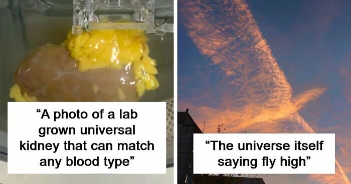 82 Fascinating Pics And Quick Facts For A 5-Minute Brain Boost (New Pics)