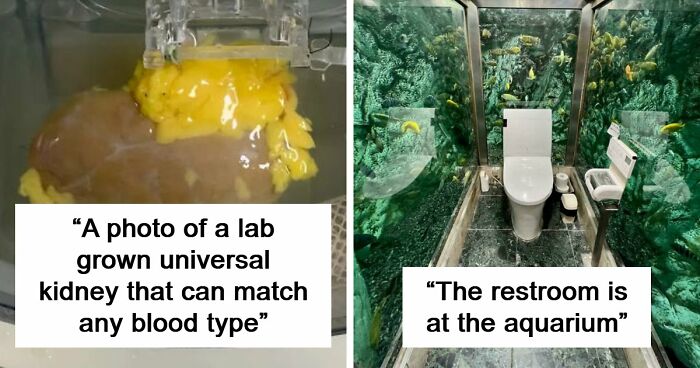 82 Fascinating Pics And Quick Facts For A 5-Minute Brain Boost (New Pics)