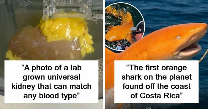 82 Fascinating Pics And Quick Facts For A 5-Minute Brain Boost (New Pics)