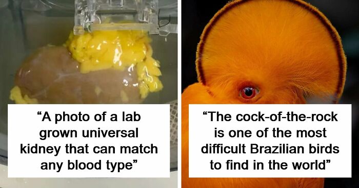 82 Fascinating Pics And Quick Facts For A 5-Minute Brain Boost (New Pics)