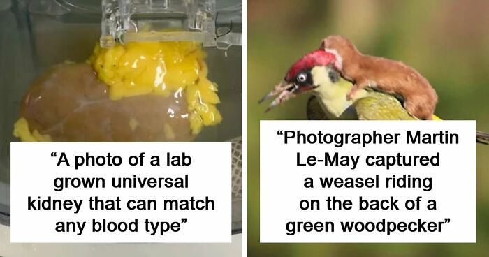 82 Fascinating Pics And Quick Facts For A 5-Minute Brain Boost (New Pics)