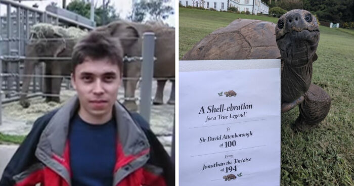 106 Timeline Facts That’ll Completely Change Your Sense Of History (New Pics)