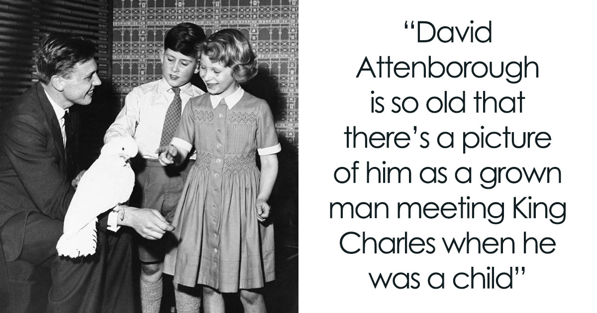 106 Timeline Facts That’ll Completely Change Your Sense Of History (New Pics)