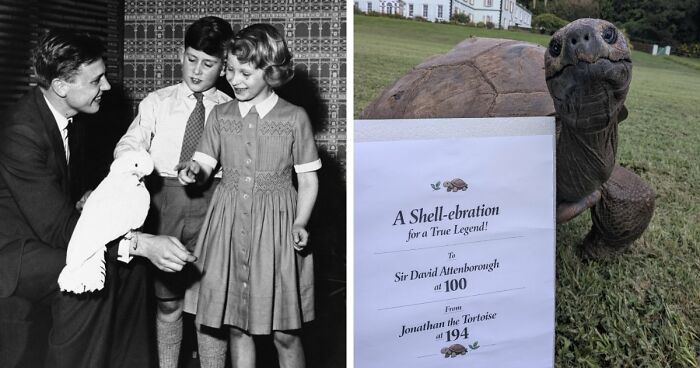 106 Timeline Facts That’ll Completely Change Your Sense Of History (New Pics)