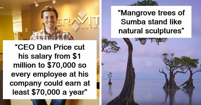 81 “Unseen Facts” For Everyone Who Enjoys Learning Something New Every Time They Go Online