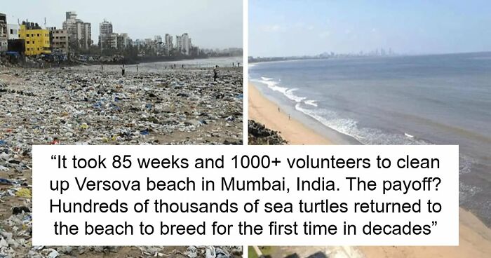 81 “Unseen Facts” For Everyone Who Enjoys Learning Something New Every Time They Go Online