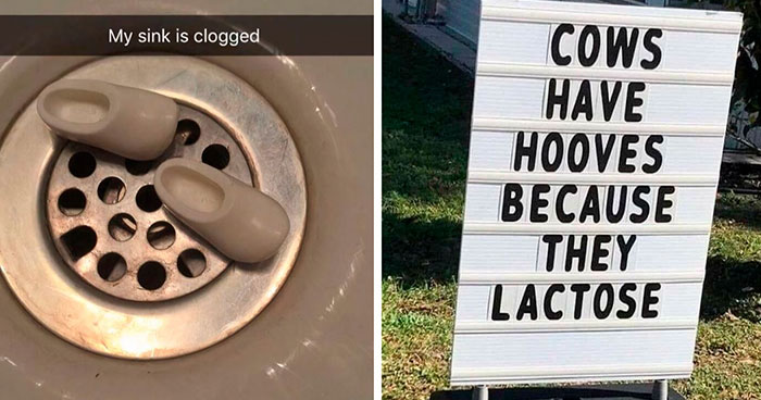 83 Incredibly Dumb Puns That Are Weirdly Impossible To Hate