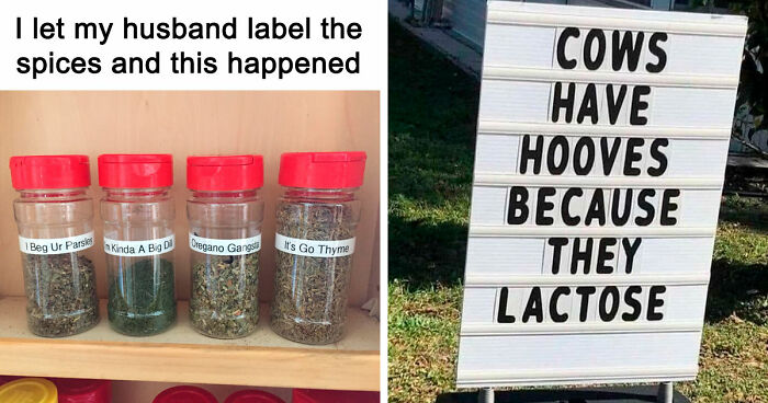 83 Incredibly Dumb Puns That Are Weirdly Impossible To Hate