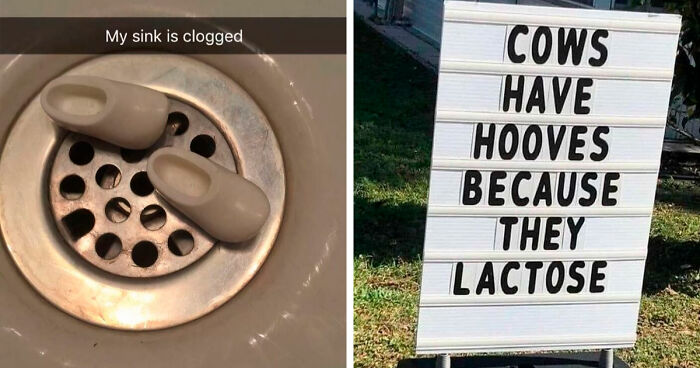 83 Incredibly Dumb Puns That Are Weirdly Impossible To Hate