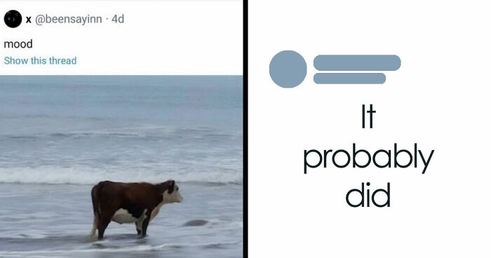 83 Incredibly Dumb Puns That Are Weirdly Impossible To Hate