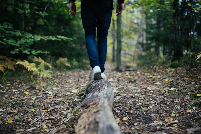 A person walking carefully on a log in a forest, an unconventional way to navigate, like strange jobs.