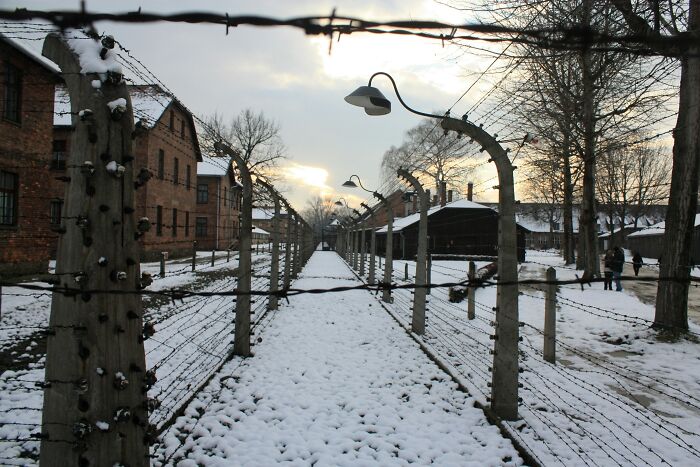 A snowy path through barbed wire fences at a concentration camp, depicting World War II veterans' stories.